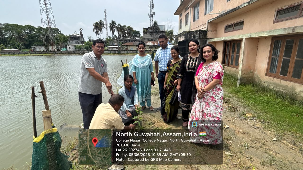 North Gauhati College
